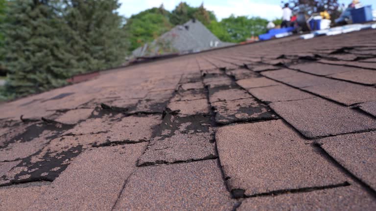 Best Sheet Metal Roofing  in Drum Point, MD