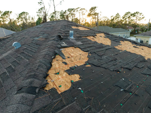Best Roof Moss and Algae Removal  in Drum Point, MD